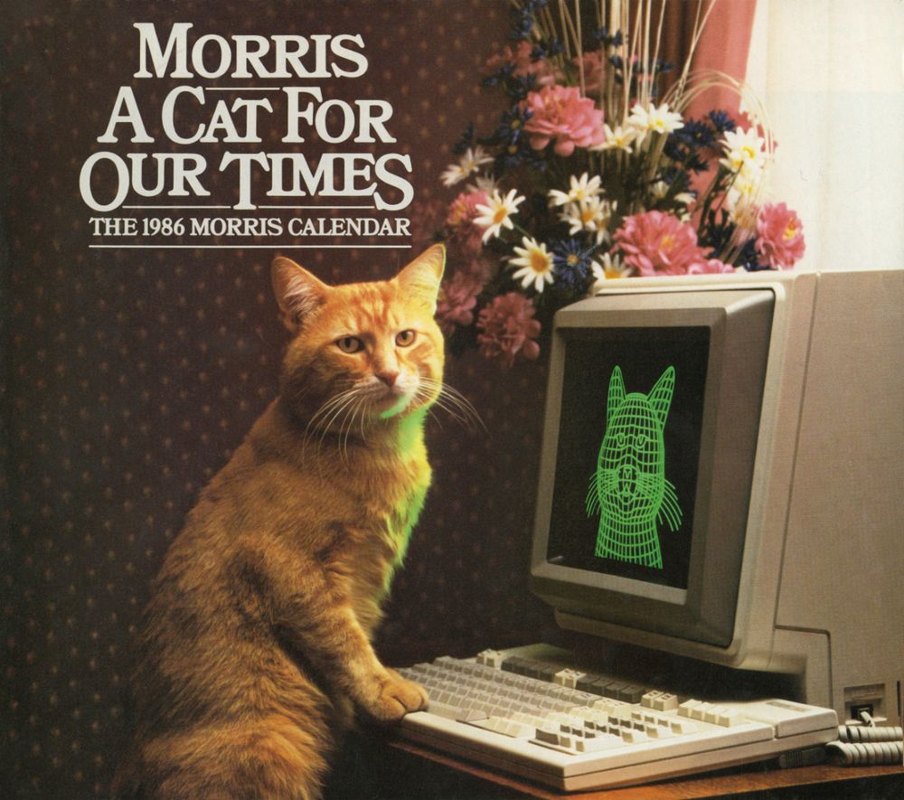 The cover of a calendar featuring Morris, the ginger cat mascot of the food company, stood up in front of a desk on which a computer keyboard and monitor rests. Looks like its an integrated PC and monitor as the keyboard cable, one of those old curly ones, goes into the bottom. There's some floral wallpaper and a vase of pink and white flowers in shot too. No idea what computer model it may be!