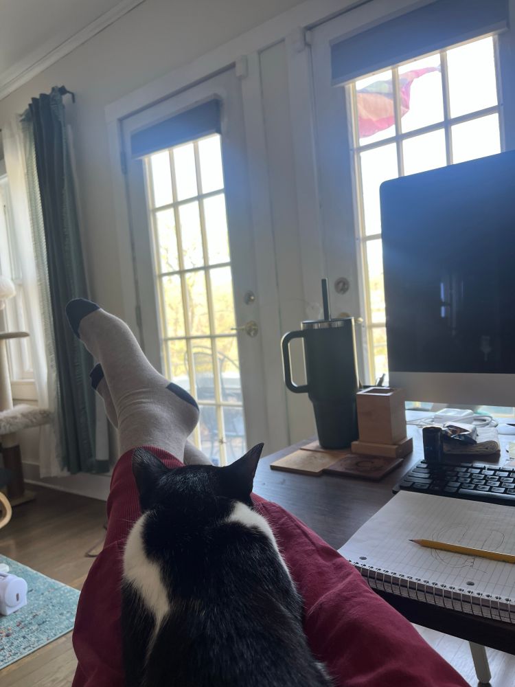 A cat sleeping in my lap, my feet kicked up on my desk, windowed balcony doors displaying greenery and sunlight