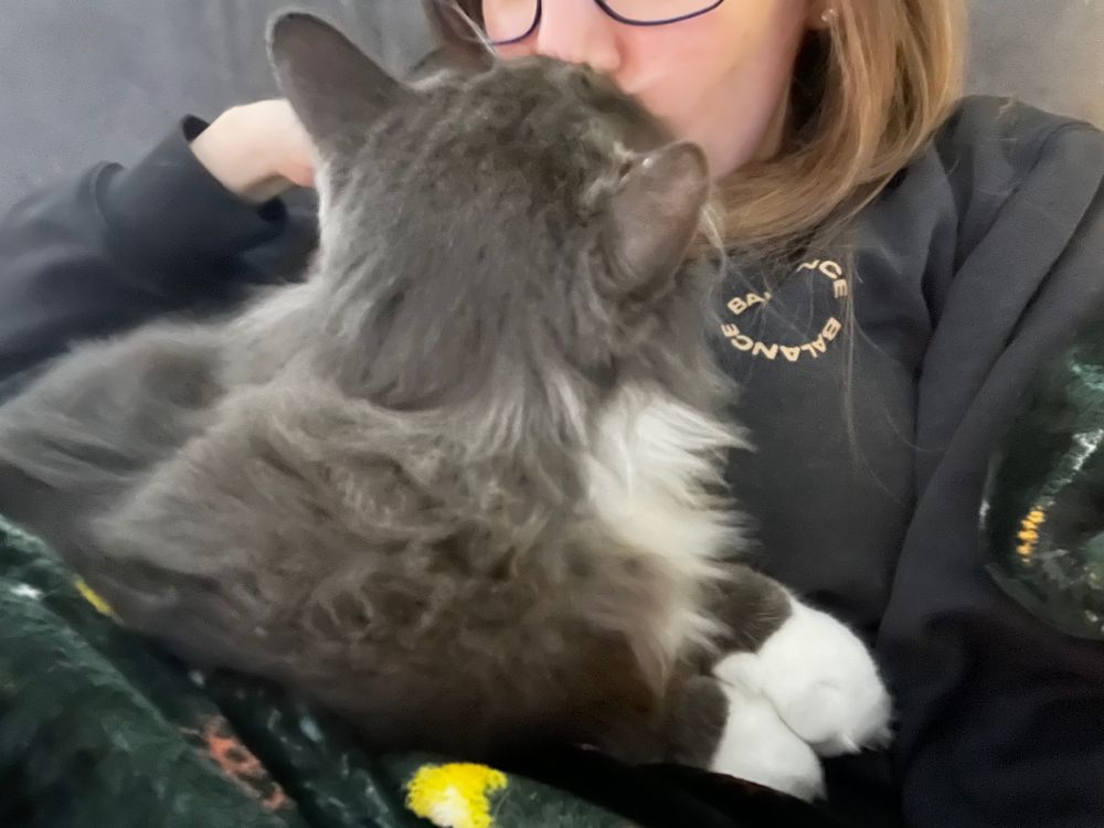 Grey and white cat “kisses” woman’s face.