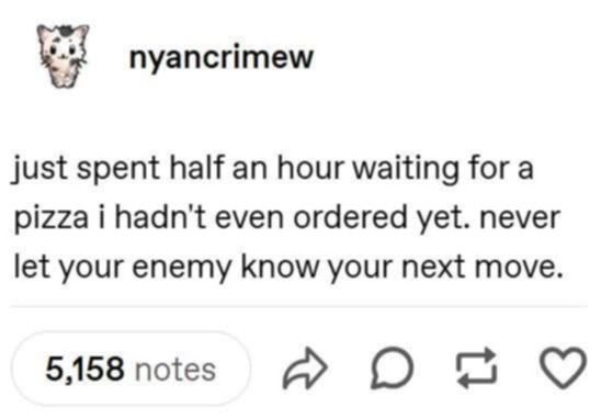 nyancrimew on tumblr - just spent half an hour waiting for a pizza i hadn't even ordered yet. never let your enemy know your next move. 