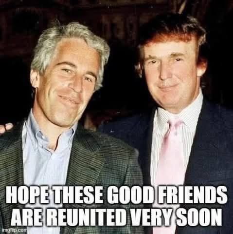 pic of epstein and trump

hope these good friends are reunited very soon