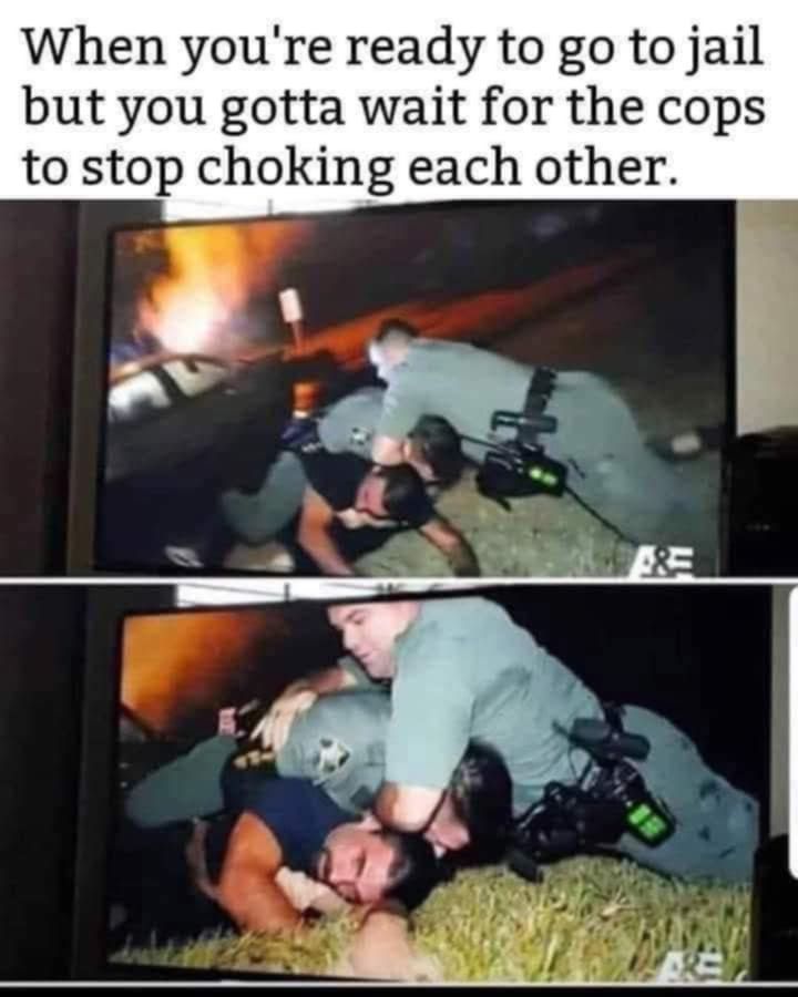 When you're ready to go to jail but you gotta wait for the cops to stop choking each other.

[pic of 2 cops choking each other on top of the actual criminal]
