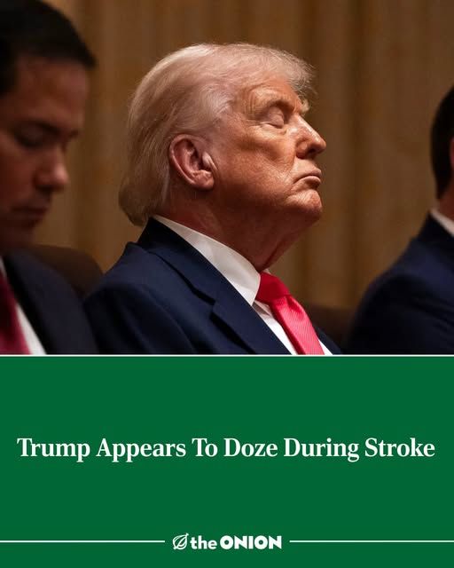 trump sleeping -trump appears to doze during stroke - theonion.com