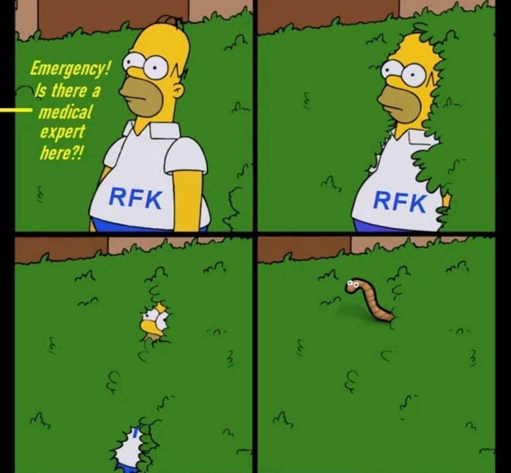 1 - homer simpson labeled as rfk standing in front of bushes - someone says from outside the panel -  'emergency! is there a medical expert here?!'

2 - homer (rfk) starts disappearing into the bushes

3 - more

4 - only thing you can see now is the brain worm sticking out of the bushes