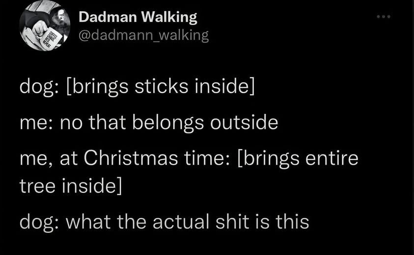 @dadmann_walking - 

dog: [brings sticks inside]    

me: no that belongs outside     

me, at Christmas time: [brings entire tree inside]     

dog: what the actual shit is this