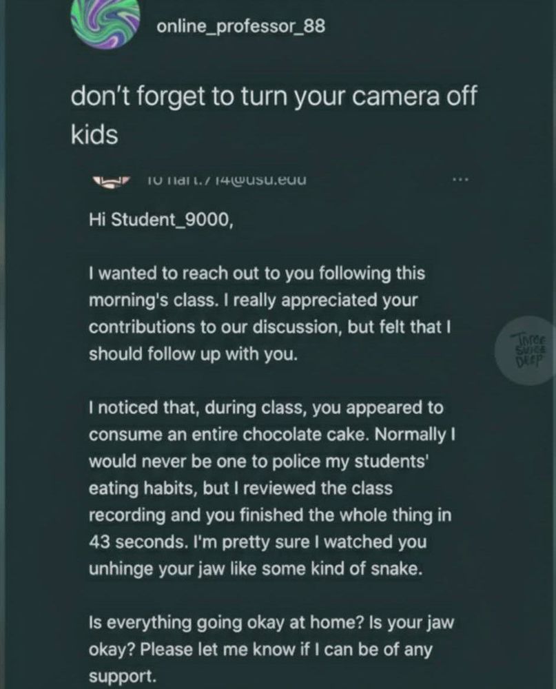 online_professor_88
don’t forget to turn your camera off kids

Hi Student_9000,

I wanted to reach out to you following this morning’s class. I really appreciated your contributions to our discussion, but felt that I should follow up with you.

I noticed that, during class, you appeared to consume an entire chocolate cake. Normally I would never be one to police my students’ eating habits, but I reviewed the class recording and you finished the whole thing in 43 seconds. I’m pretty sure I watched you unhinge your jaw like some kind of snake.

Is everything going okay at home? Is your jaw okay? Please let me know if I can be of any support.