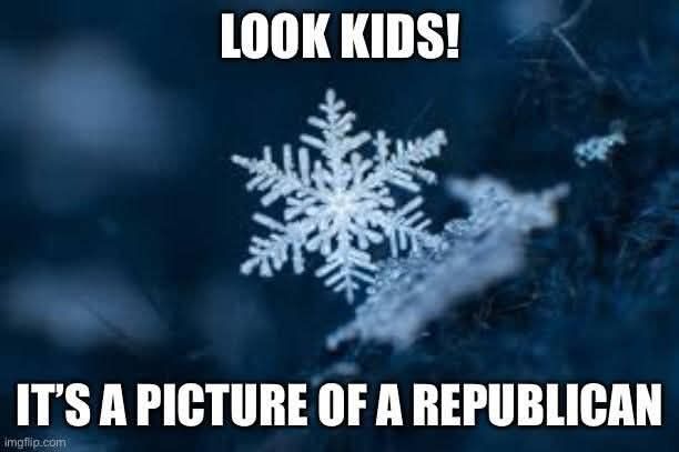 [pic of a snowflake] Look kids! It's a pic of a republican
