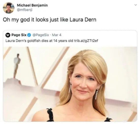 @mfbenji Oh my god it looks just like like Laura Dern in response to a post by page six that says laura dern's goldfish dies at 14 years old [pic of laura dern]