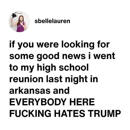 sbellelauren on x if you were looking for some good news i went to my high school reunion last night in arkansas and EVERYBODY HERE FUCKING HATES TRUMP