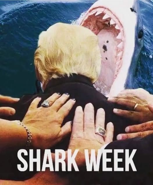 shark week - people pushing him into a shark