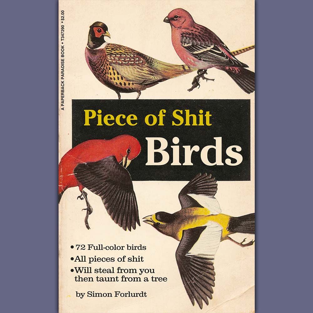 a book with pics of a bunch of birds

Piece of Shit Birds

- 72 full color birds
- all pieces of shit
- will steal from you then taunt from a tree
by simon forlurdt