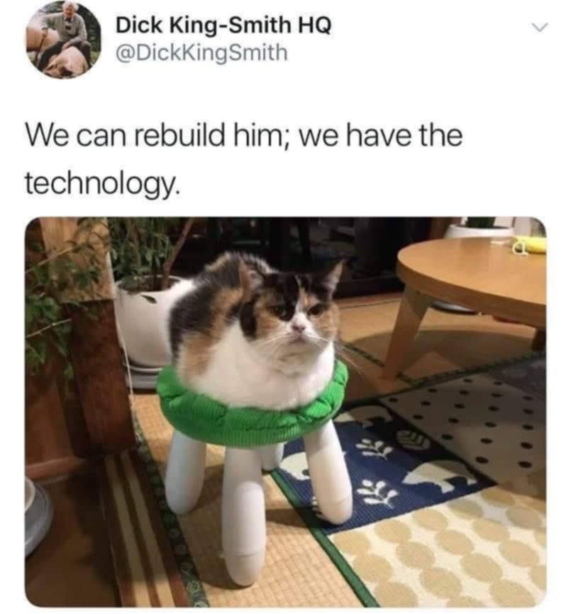 @dickKingSmith on X
We can rebuild him; we have the technology

[a cat on a stool and the way he's laying you can't see his legs so the stools look like his legs]