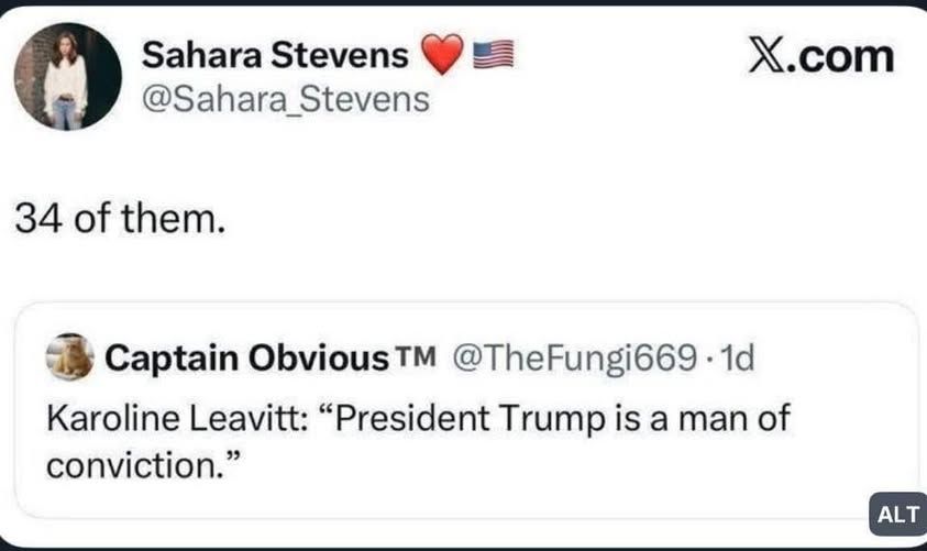 @thefungi669 posted: Karoline Leavitt: "President Trump is a man of conviction."            
     

and @sahara_stevens replied: 34 of them