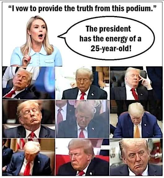 k leavitt "I vow to provide the truth from this podium. The president has the energy of a 25-year old!" [pics of trump sleeping thru a bunch of things]
