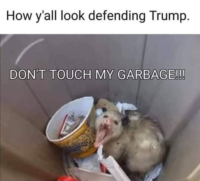 How y'all look defending Trump. [pic of a feral opossum screaming in a garbage can, surrounded by trash] DON'T TOUCH MY GARBAGE!!!