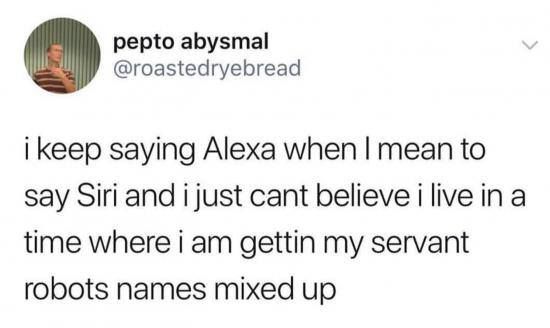 @roastedryebread -  i keep saying Alexa when I mean to say Siri and ijust cant believe i live in a time where i am getting my servant robots names mixed up