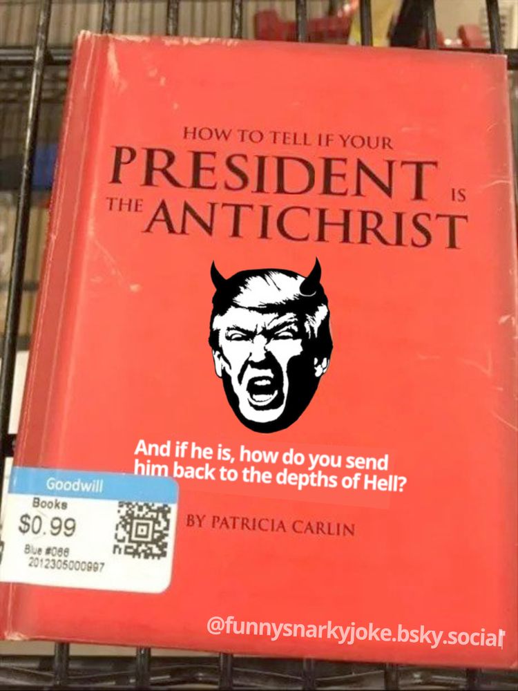 a book that says How to tell if your president is the antichrist (pic of trump with horns) and if he is, how do you send him back to the depths of hell? 