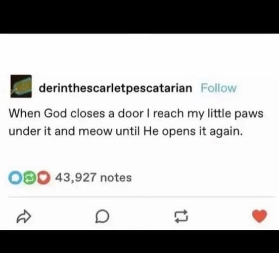 derinthescarletpescatarian on Tumbler When God closes a door I reach my little paws under it and meow until He opens it again.