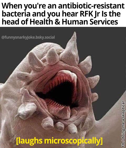 When you're an antibiotic-resistant bacteria and you hear RFK Jr Is the head of of Health & Human Services

pic of antibiotic resistant bacteria laughing

[laughs microscopically]

@funnysnarkyjoke.bskysocial