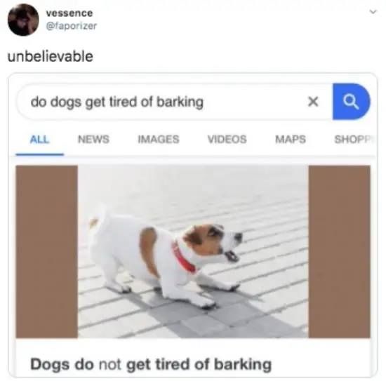 @faporizer - unbelievable - screenshot of someone looking up 'do dogs get tired of barking' and the result is a dog barking and 'dogs do not get tired of barking'