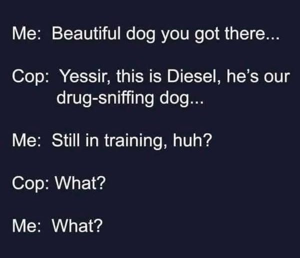 Me: Beautiful dog you got there... 

Cop: Yessir, this is is Diesel, he's our drug-sniffing dog... 

Me: Still in training, huh? 

Cop: What? 

Me: What?