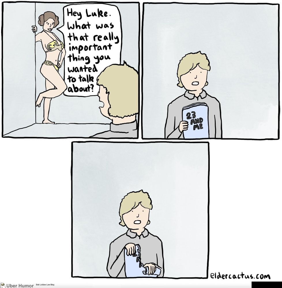 1 - leia posing in her golden bikini while luke look son 'hey, luke. what as that really important thing you wanted to talk about?' 2 - luke holding a 23 and me booklet 3 - he tears it up Artist: Elder Cactus