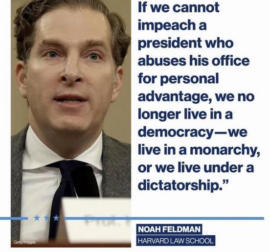 pic of noah feldman - If we cannot impeach a president who abuses his office for personal advantage, we no longer live in a democracy, we live in a monarchy, or we live under a dictatorship