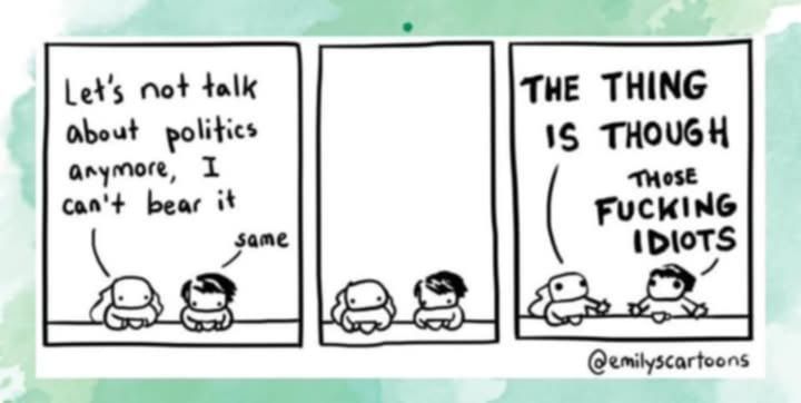 1st panel - girl says to guy 'let's not talk about politics anymore, I can't bear it' guy replies 'same'
2nd panel - girl and guy just being silent
3rd panel - girl screaming -the thing is though and guy says 'those fucking idiots'

emilyscartoons