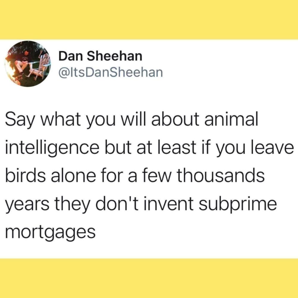 @itsdansheehan on X

Say what you will about animal intelligence but but at at least if you leave birds alone for a few thousands years they don't invent subprime mortgages