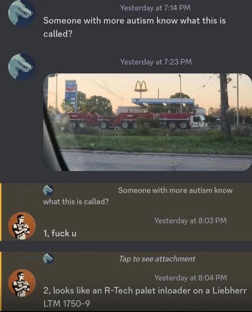 online post and then responses - 

post - someone with more autism know what this is called [pic of tractor trailor looking thing but longer]     

2nd person responds - 1, fuck u   
2nd person again - 2, looks like an R-tech palet inloader on a liebherr LTM1750-9