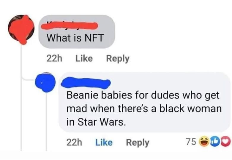 1st person - what is NFT    

2nd person replying - Beanie babies for dudes who get mad when there's a black woman in Star Wars.