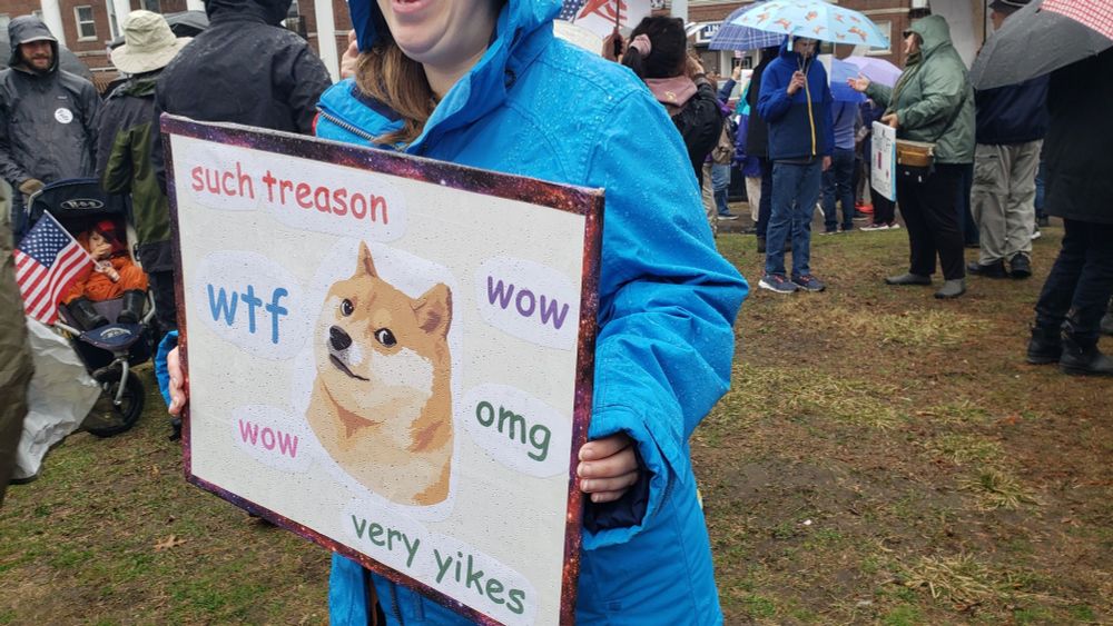protest sign that has a picture of a doge and says 'such treason    wow    wtf   omg    wow   very yikes'