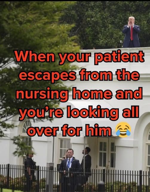 [trump on the roof of WH while secret service is on the ground - appearing to look for him]

when your patient escapes from the nursing home and you're looking all over for him