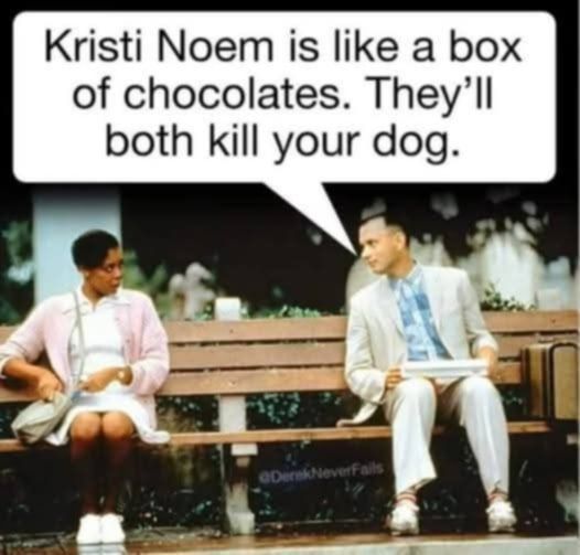 Forest Gump on bus bench with a woman and says 'kristi noem is like a box of chocolates. they'll both kill your dog.'