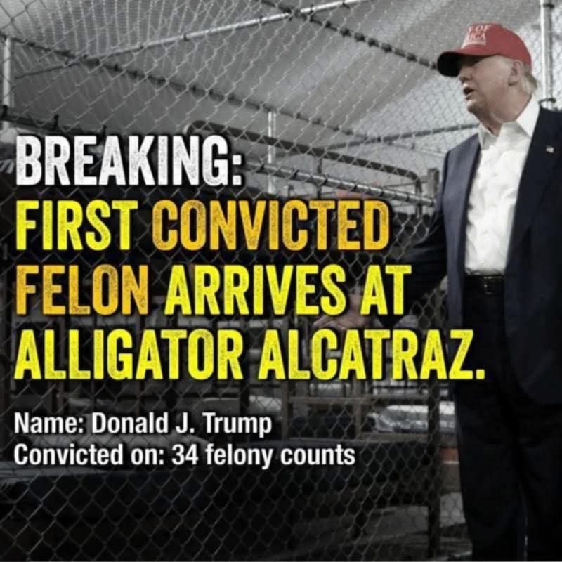 Breaking: First convicted felon arrives at alligator alcatraz.
Name: Donald J. Trump
Convicted on: 34 felony counts