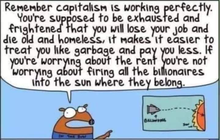 Artist: anarchistmemecollective on Tumblr   a fish pointing at a rocket going into the sun remember capitalism IS working perfectly. You're supposed to be exhausted and frightened that you will lose your Job and die old and homeless, it makes it easier to treat you like garbage and pay you less. If you're worrying about the rent you're not worrying about firing all the billionaires into the sun where they belong.