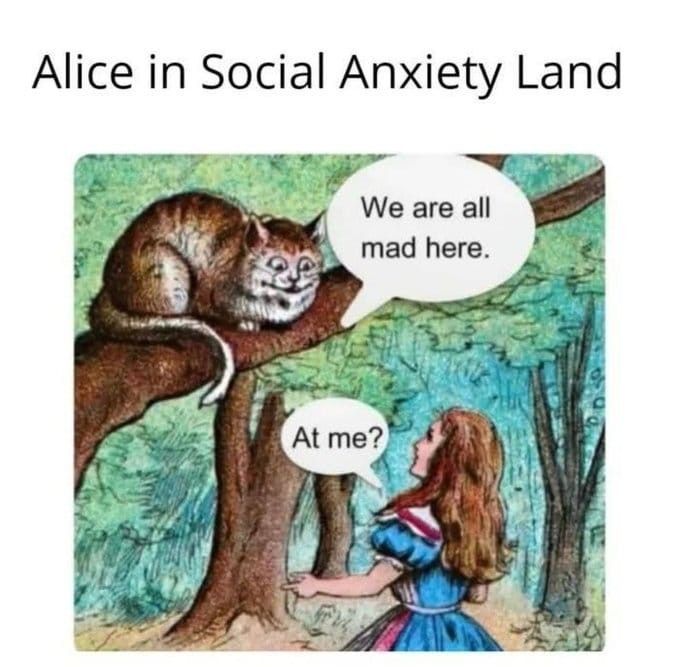 Alice in social anxiety land

cat in tree says 'We are all mad here' and alice replies 'At me?'