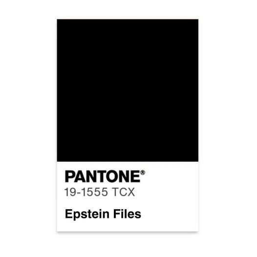 pantone - 19-1555 TCX - Epstein Files [black]