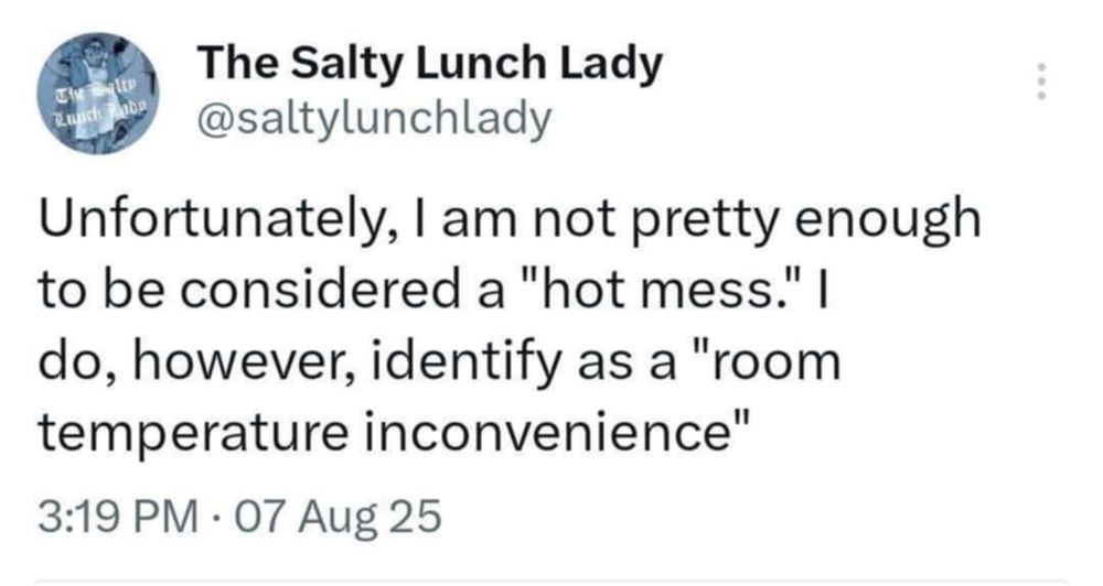 @saltylunchlady on facebook

Unfortunately, I am not pretty enough to be considered a "hot mess." I do, however, identify as a "room temperature inconvenience"