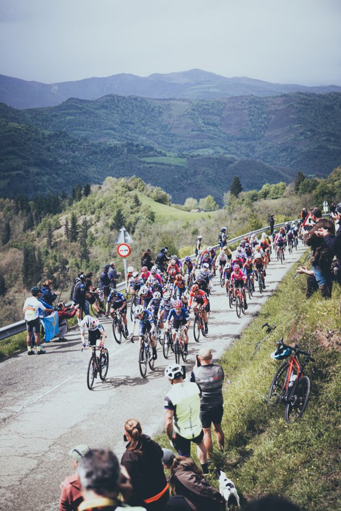 The peloton riding up a mountain rode, and fans cheering them on from the roadside