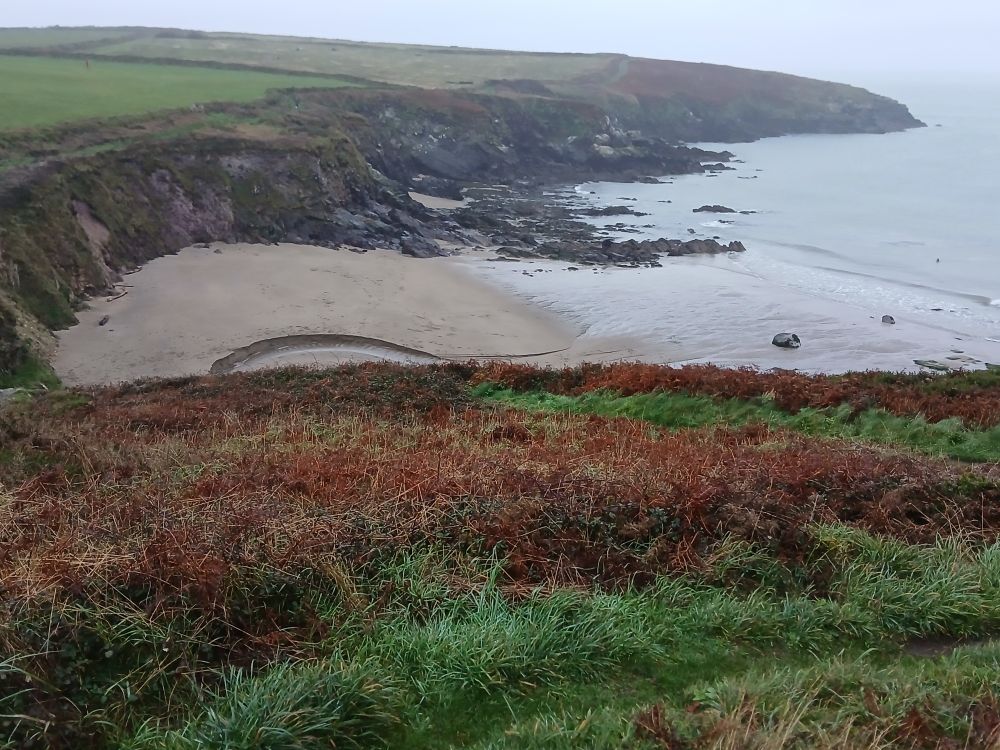 Grass and old brown bracken in the foreground, on top of a cliff, with a narrow slight path from lower centre leading right, a small, sandy bay below, cliffs to the left. Pale dull bluey grey sea to the right and more dark grey cliffs in the distance. Pale area of cloudy sky/ pale sea at the top.