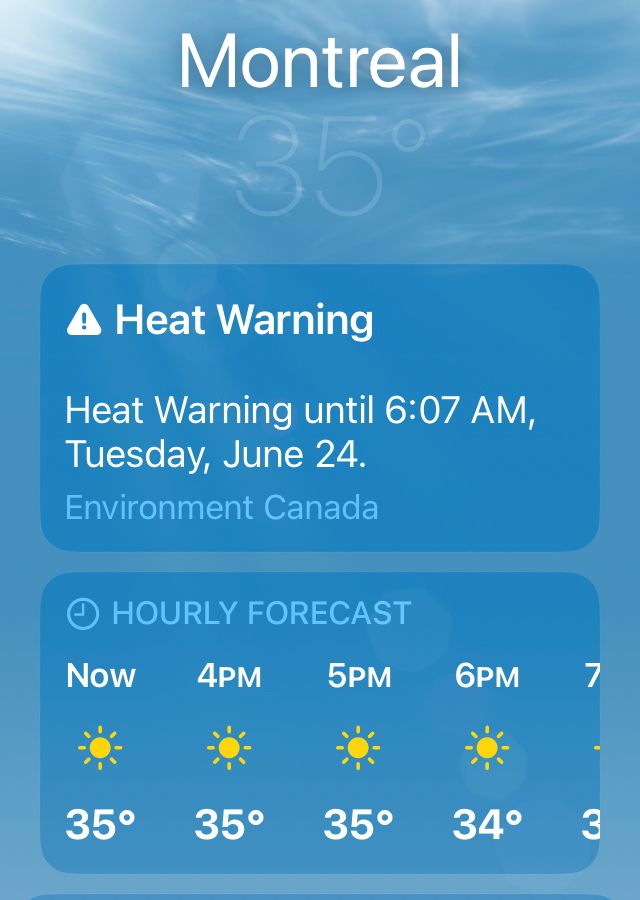 Montreal 35* right noe