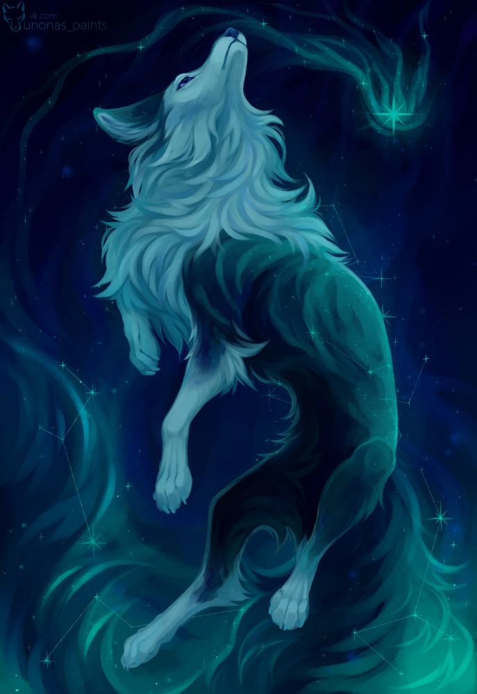 A digital artwork of a dark-blue and white wolf floating up into the starry sky
