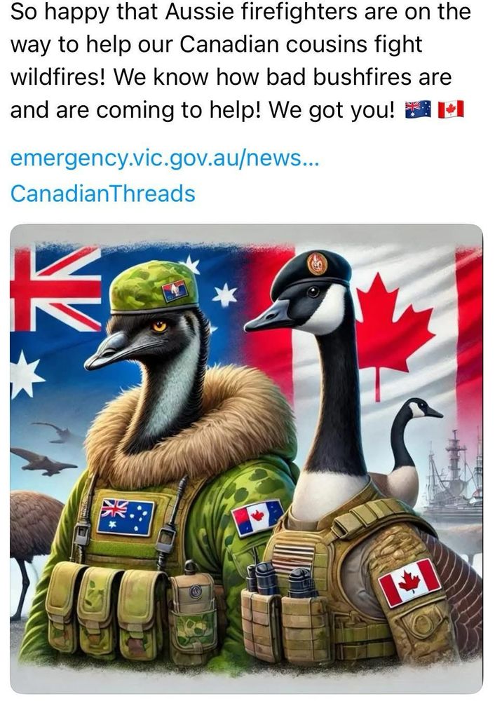 A meme. Bottom two thirds is an image of a Canadian Goose and an Australian Emu. They are each standing in front of their home national flag and they are dressed for the skies. Words are at the top: So happy that Aussie firefighters are on the way to help our Canadian cousins fight wildfires. We know how bad bushfires are and are coming to help! We got you! Canadian Threads