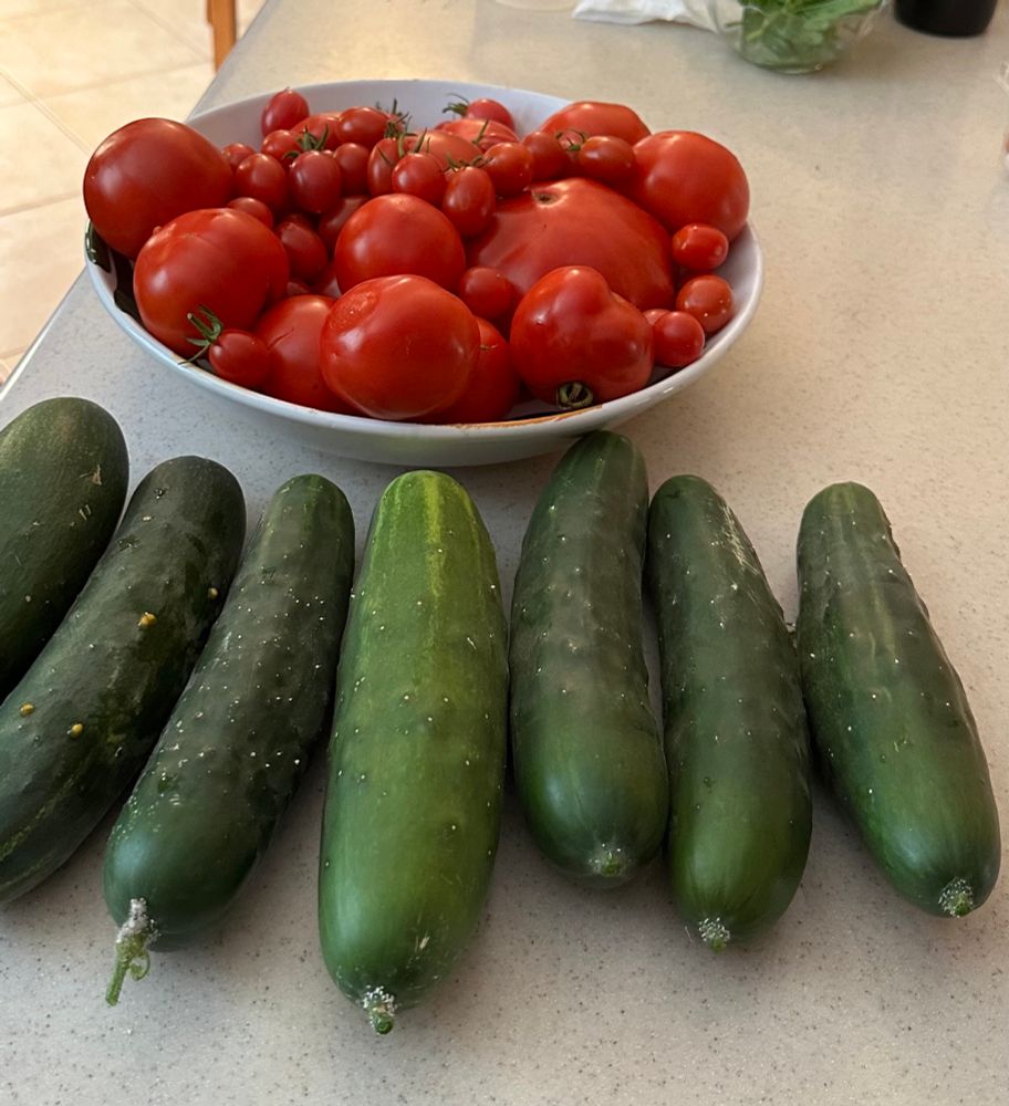Cucumbers & tomatoes 