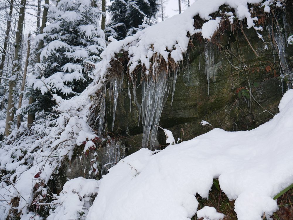 Große Eiszapfen im frostigen und verschneiten Wald entlang eines Felsens.