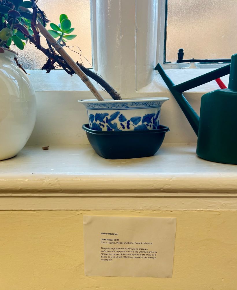 Pot with branch from dead plant in a windows sill. Next to it is another plant and a watering pot. Bellow, a sign is stuck on the wall reading - Artist: unknown. Dead plant, 2024. Glass, plastic, wood and misc. organic material. The precise placement of this piece among a collection of living plants allows the unknowns artist to remind the viewer of the inescapable cycle of life and death, as well as the capricious nature of the Ava rage house plant. 