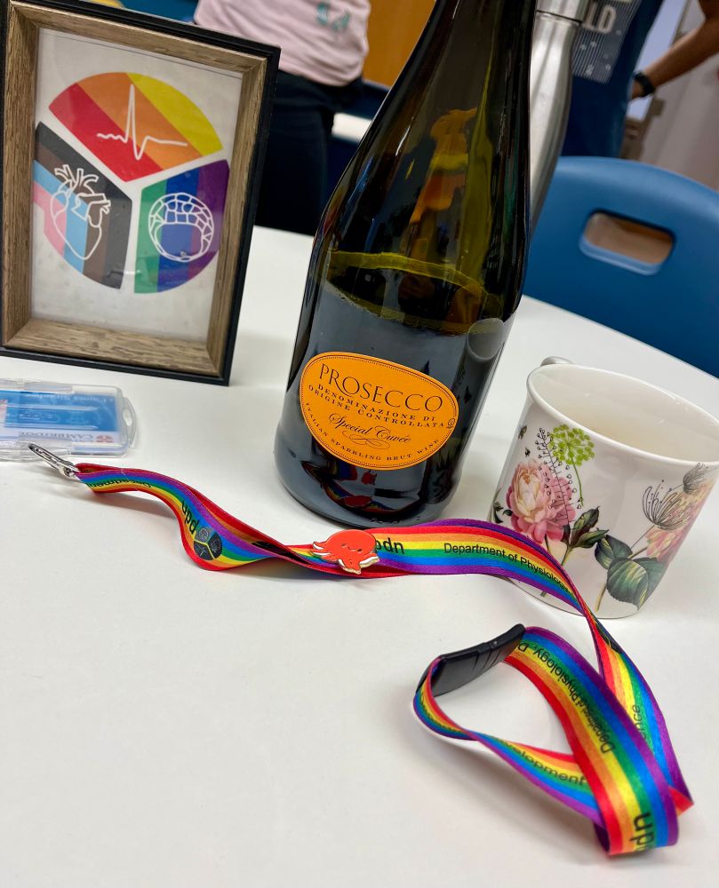 Prosecco bottle, cup, rainbow keychain with PDN logo.