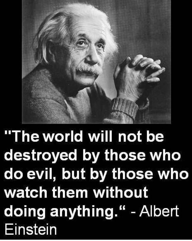 Albert Einstein quote the world will not be destroyed by those who do evil but by those who watch them and do nothing 