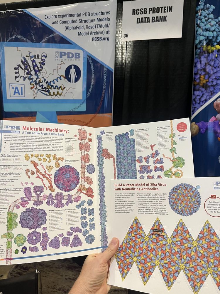 Hand holding Molecular Machinery poster and zika model